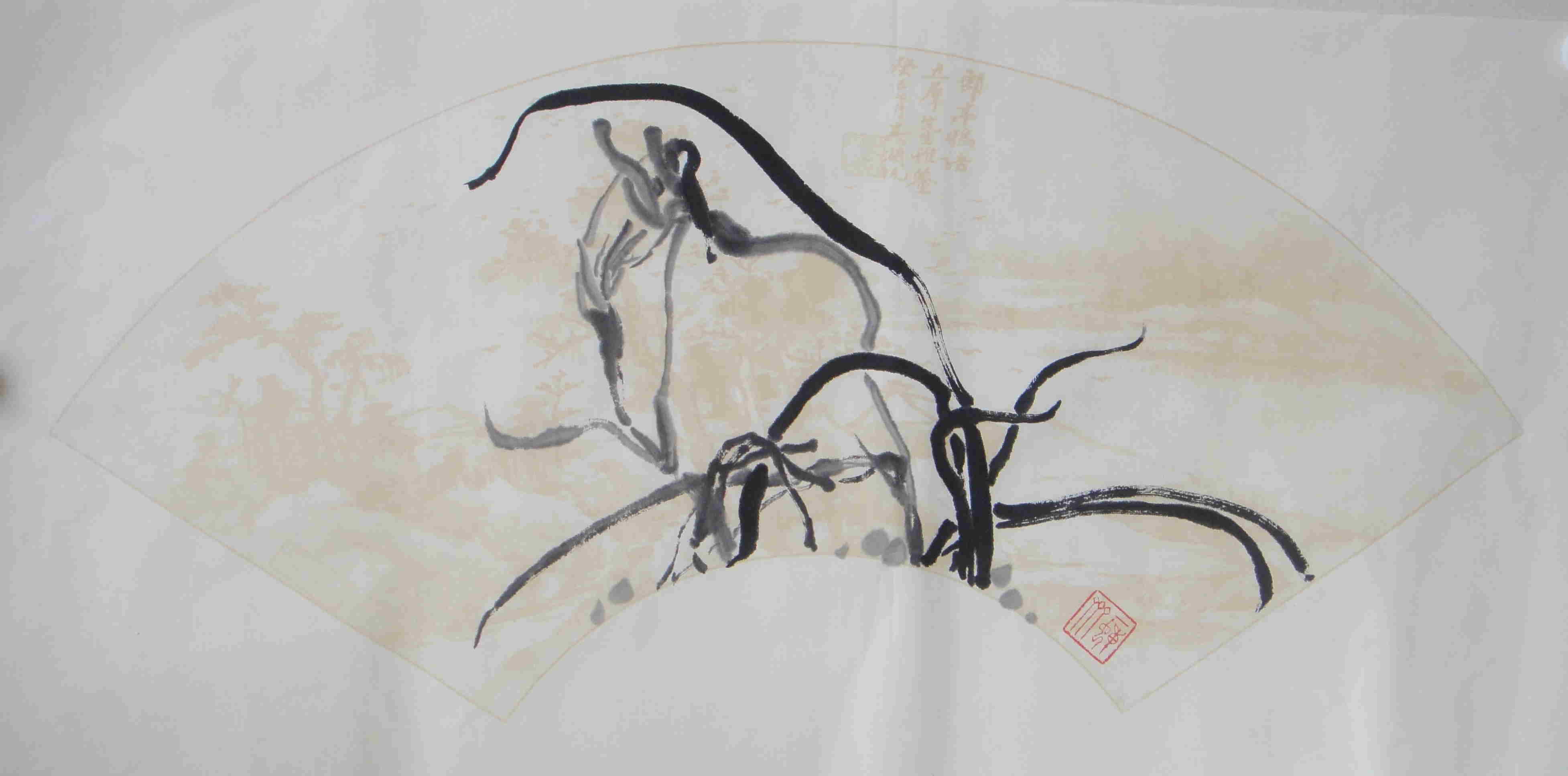 兰花8