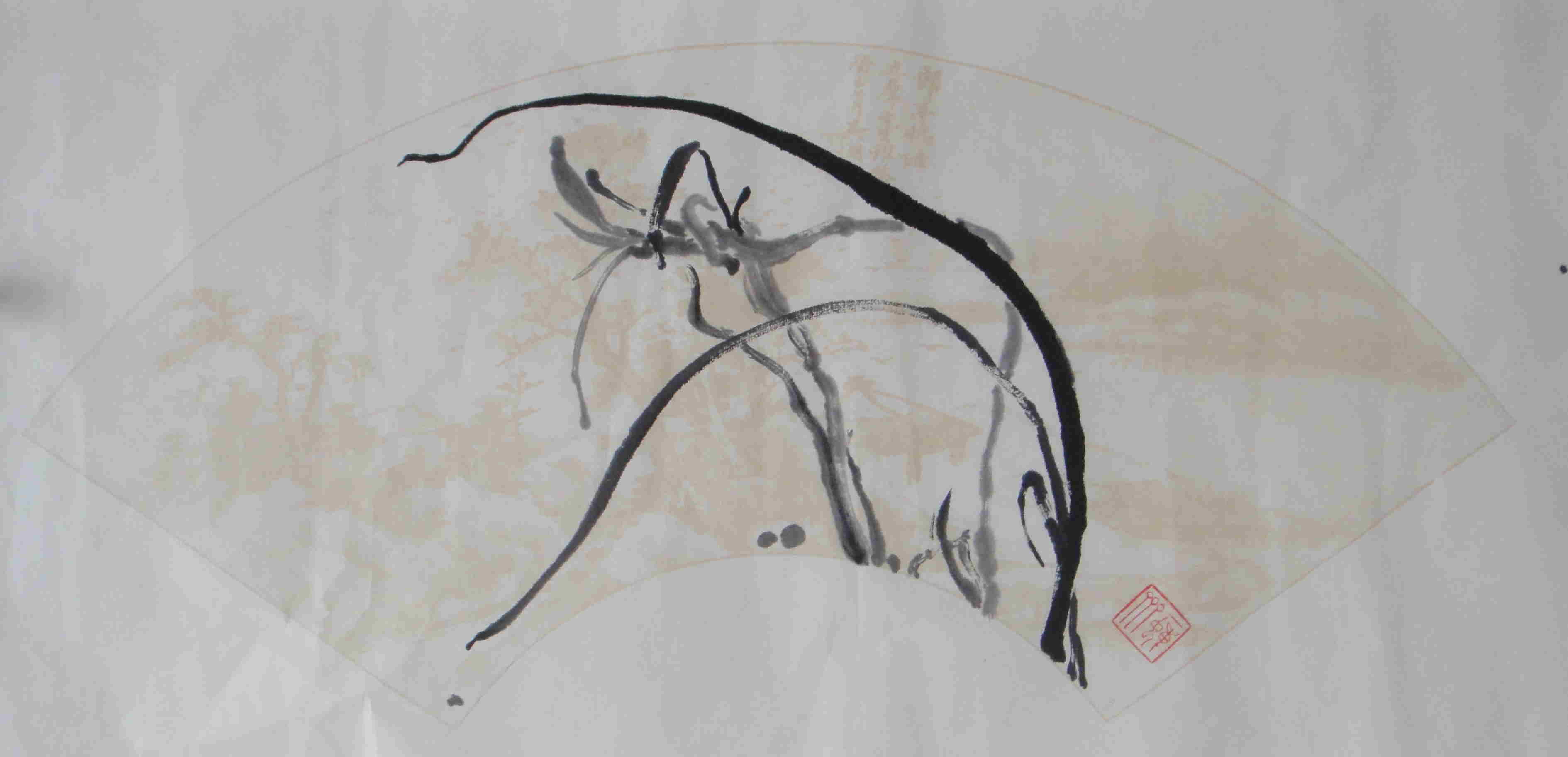 兰花9