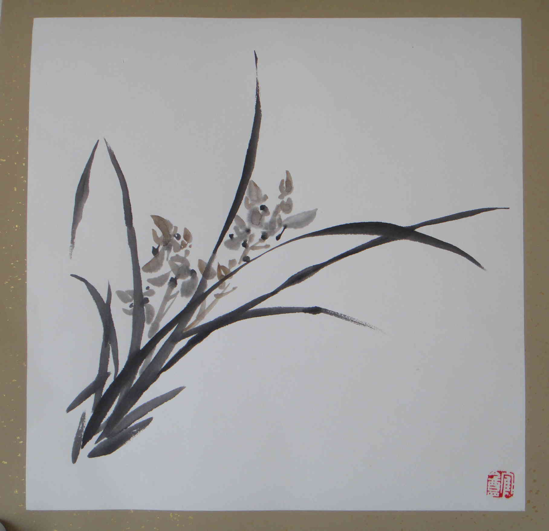李金河兰花