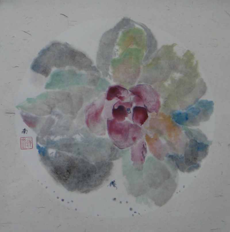 王南 花系列