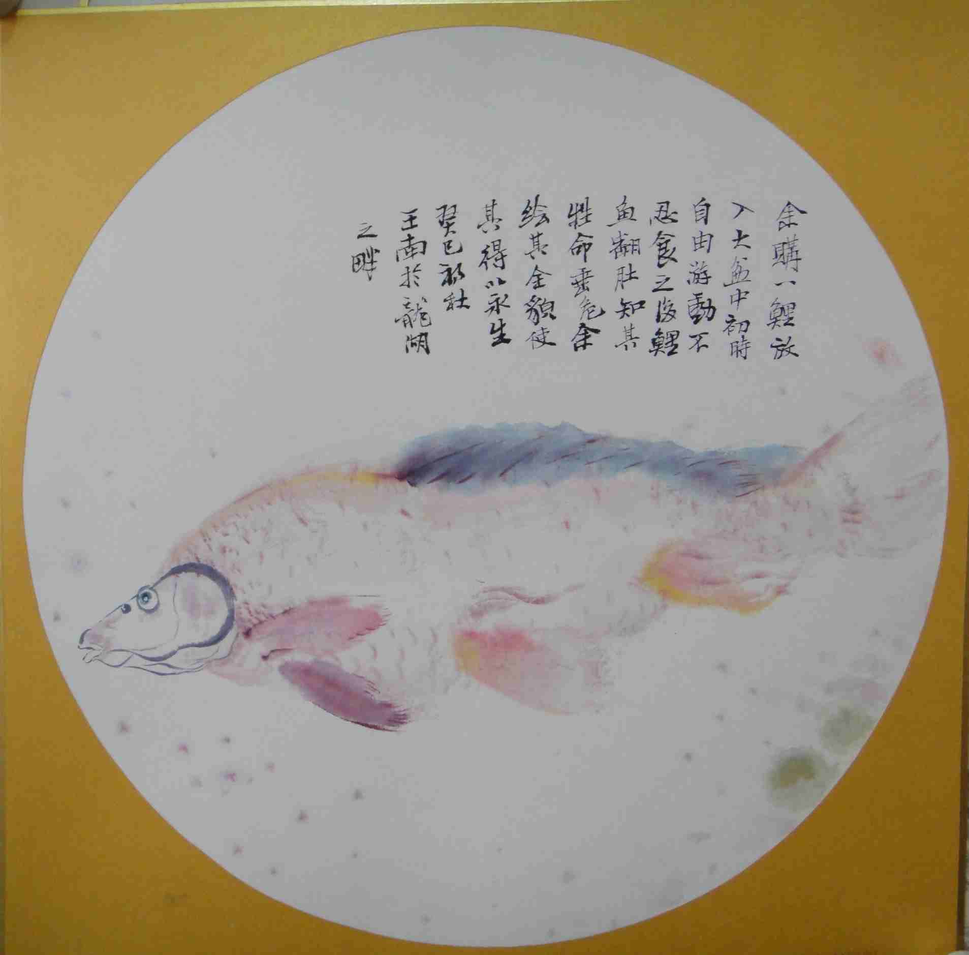 王南 花虫系列