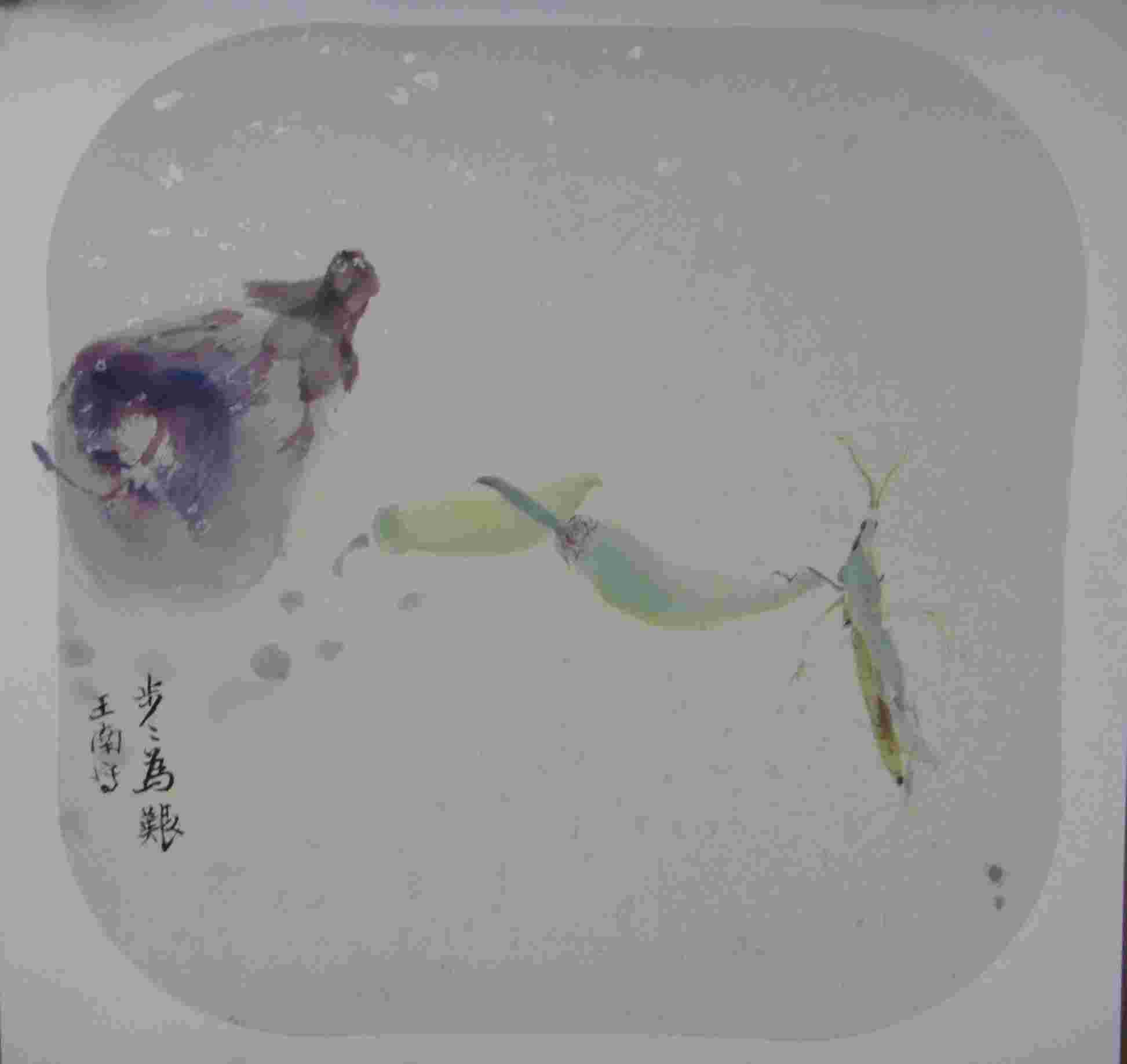 王南 花虫系列