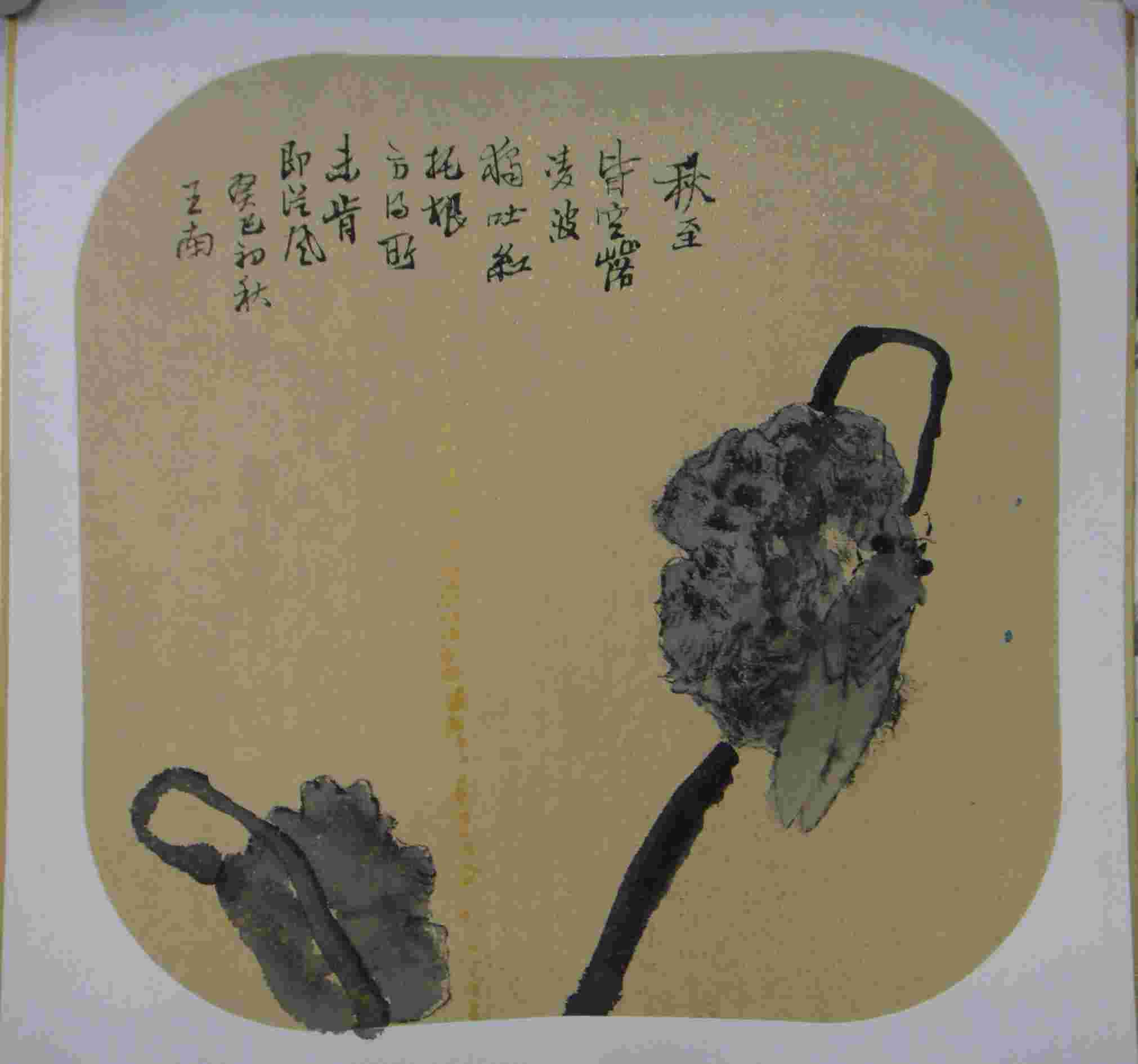 王南 花虫系列