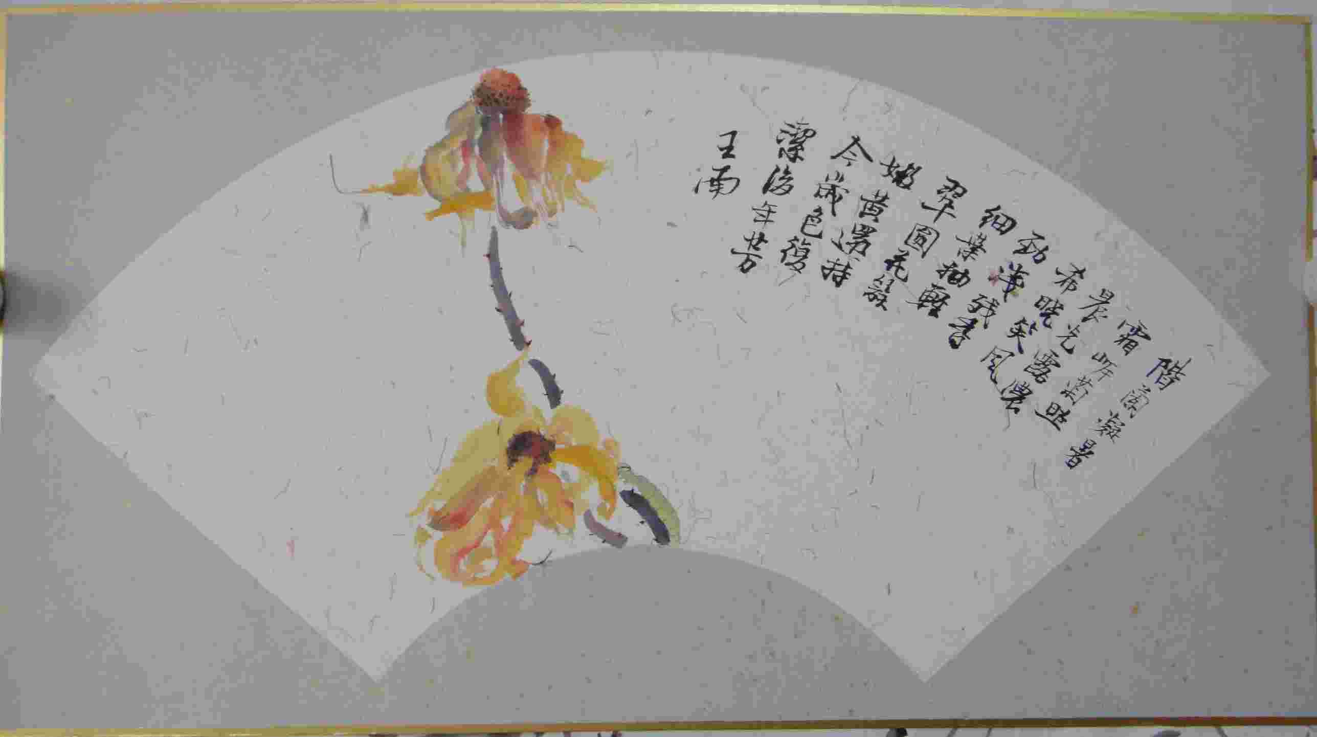 王南 花虫系列