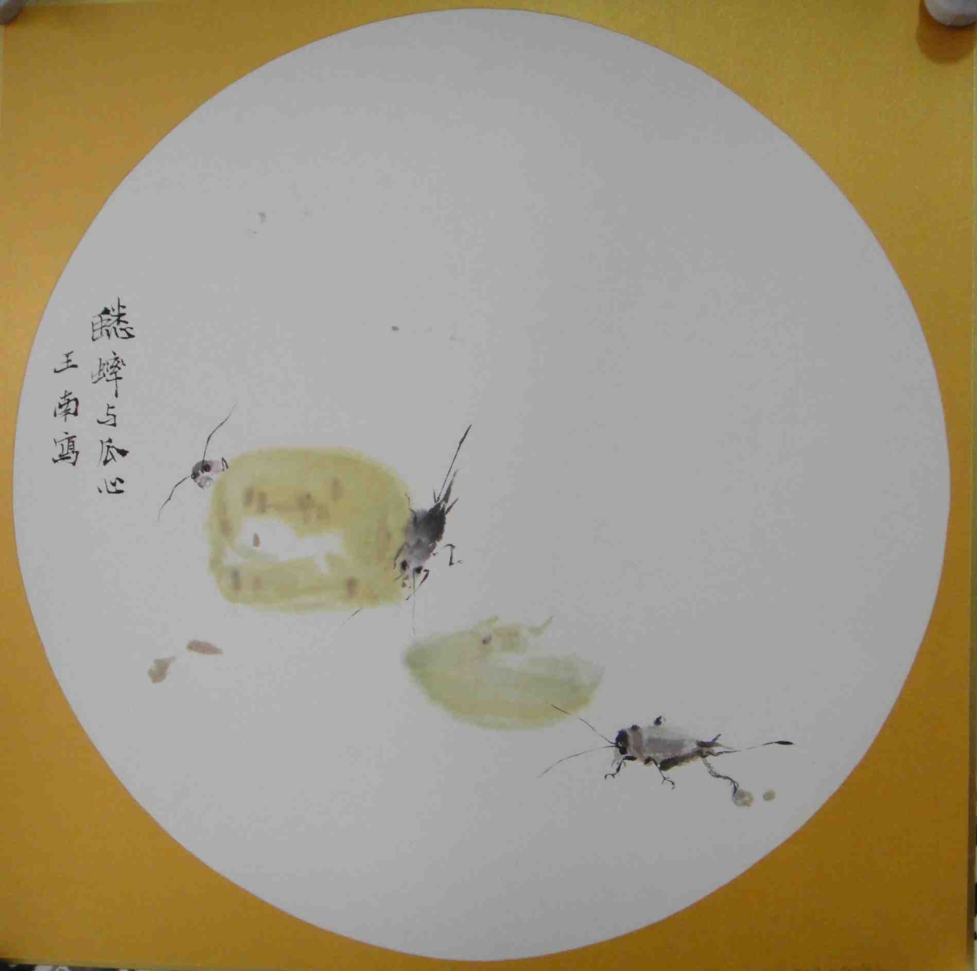 王南 花虫系列