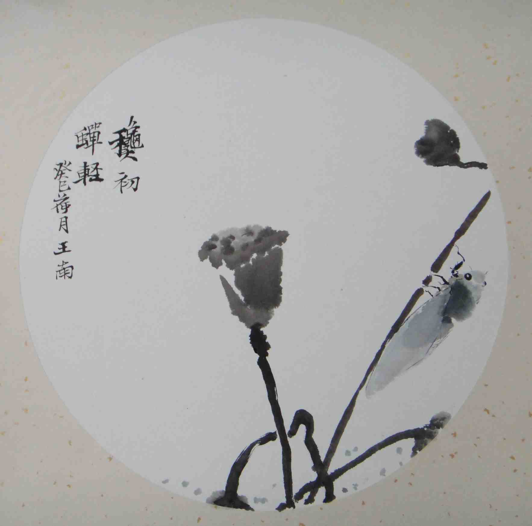 王南 花虫系列